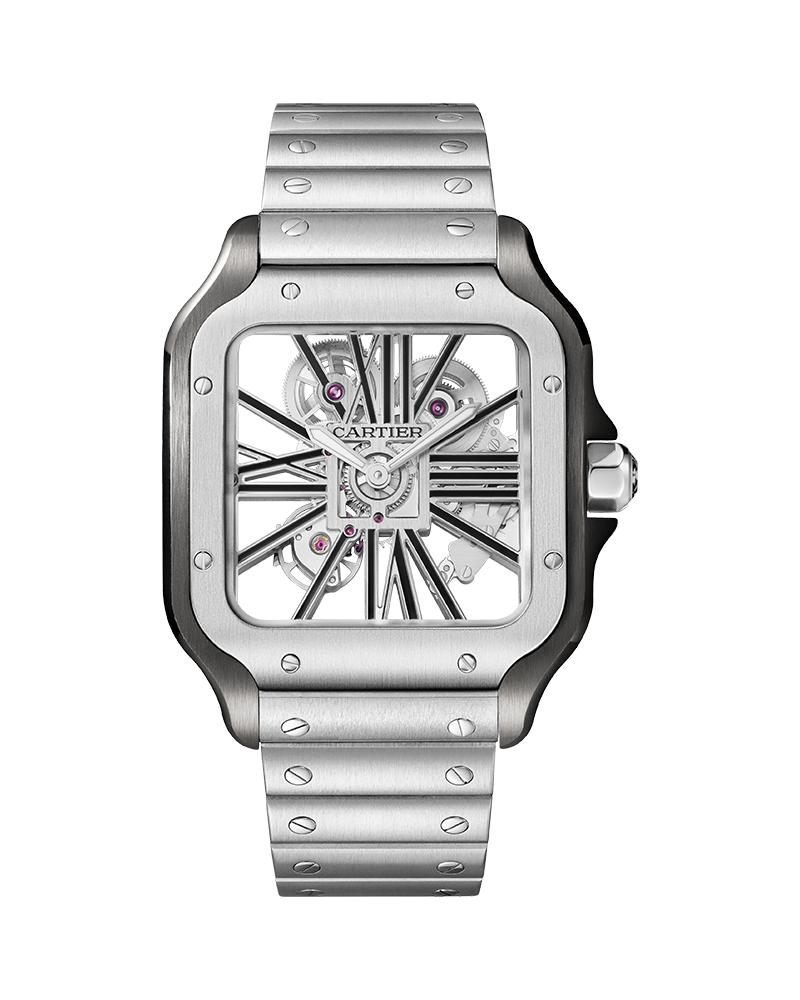Cartiee_r Santos Skeleton Battery Silver-Black Main image