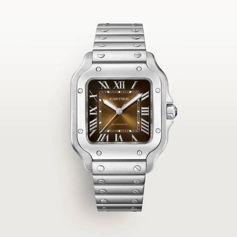Cartiee_r Santos Automatic silver brown Main image