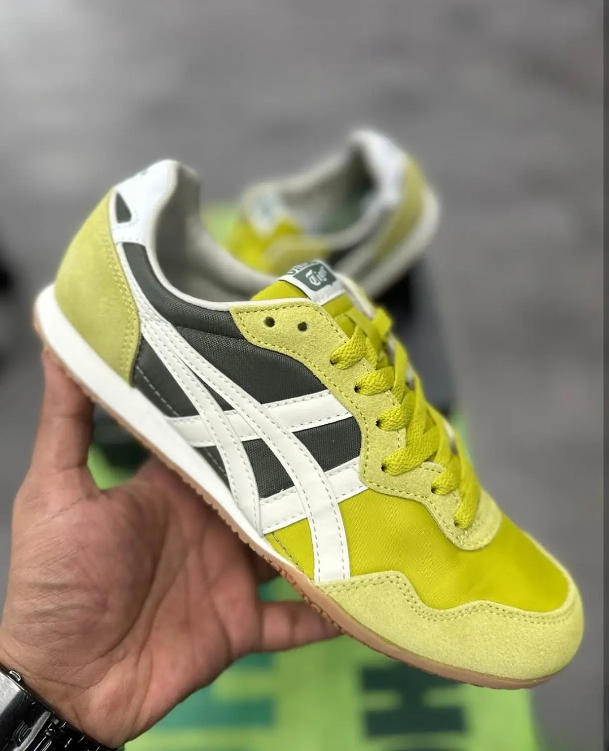 Onitsuk_a Tiger Serrano Kelp Birch  7A Premium Mens Sneakers D-2076 Secondary image