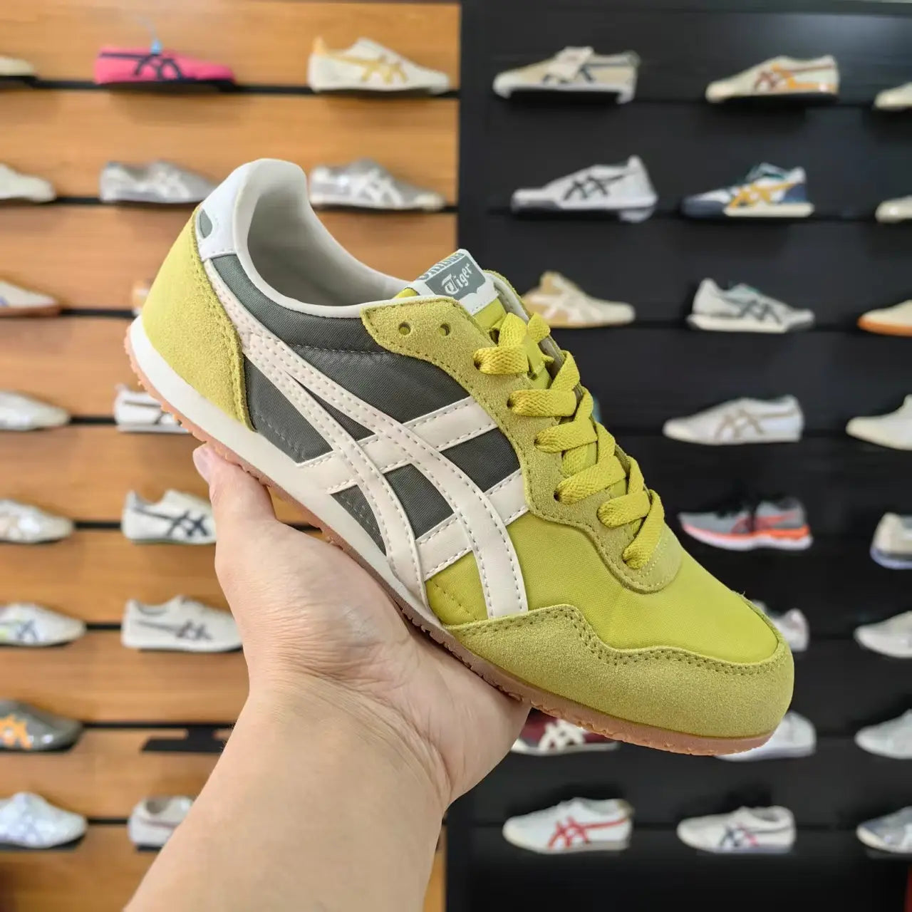 Onitsuk_a Tiger Serrano Kelp Birch  7A Premium Mens Sneakers D-2076