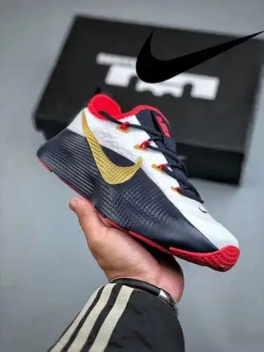 Nike LeBron ROYALTY TR 1 TEAM USA Main image