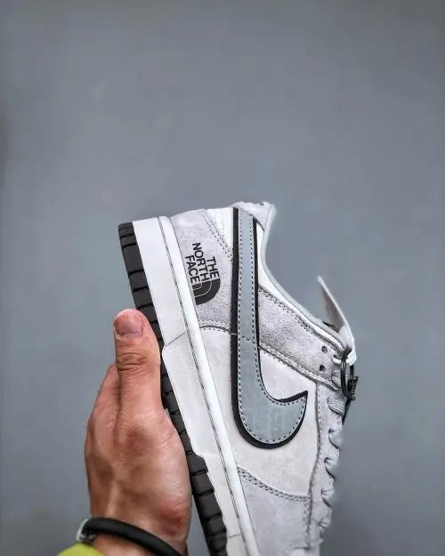 Nik_e sb dunk low x north face 2025